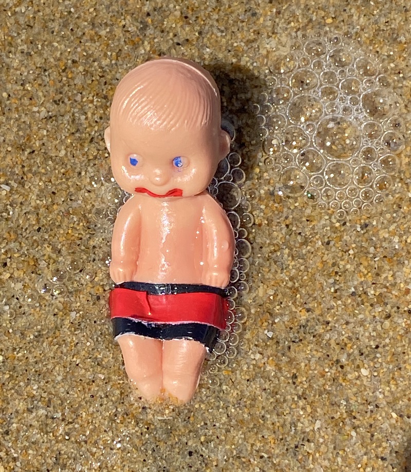 Brutus Baby and the Seashells 14